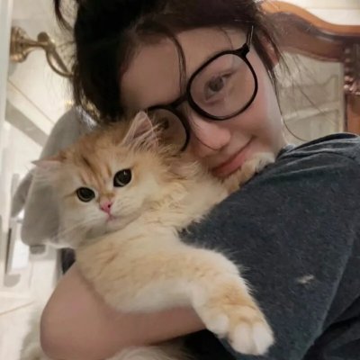 案中案(原声版)